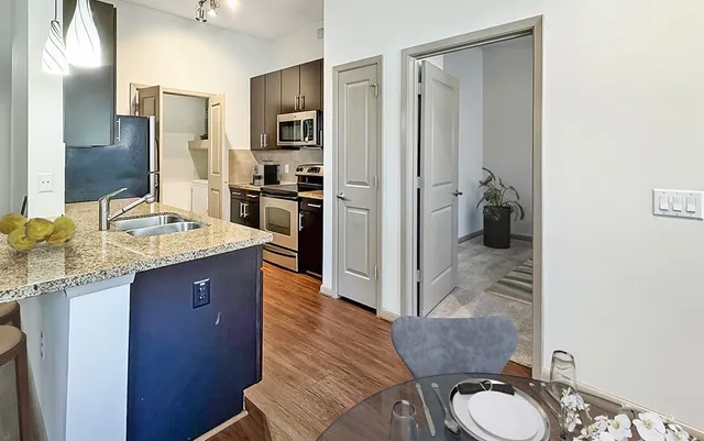 $1,601 | 306 McGowen Street, Unit 1305, Houston, TX 77006