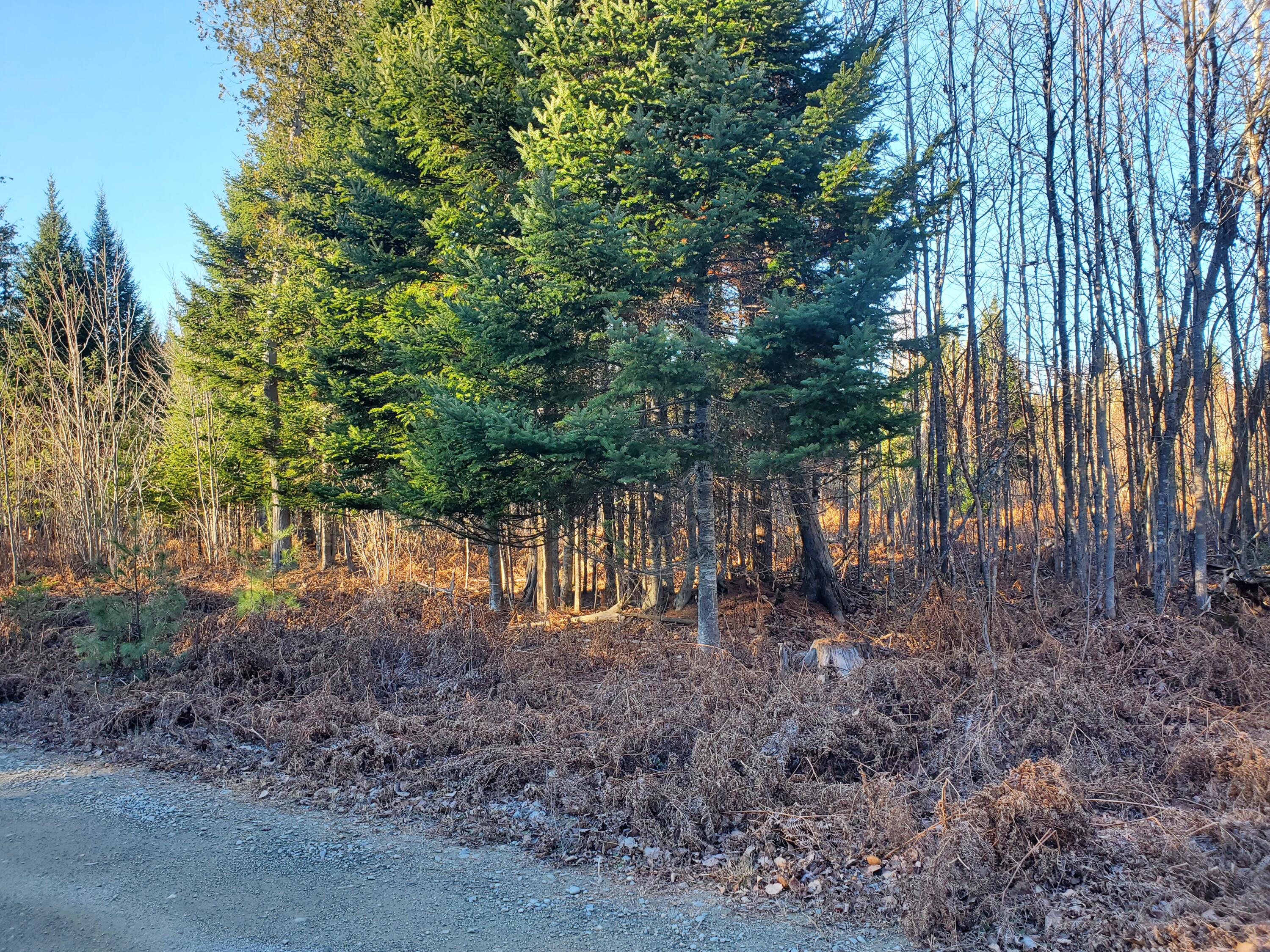 R1-007-001 Lander Farm Road Stratton, ME 04982 - Photo 9 of 25 20241117_140218