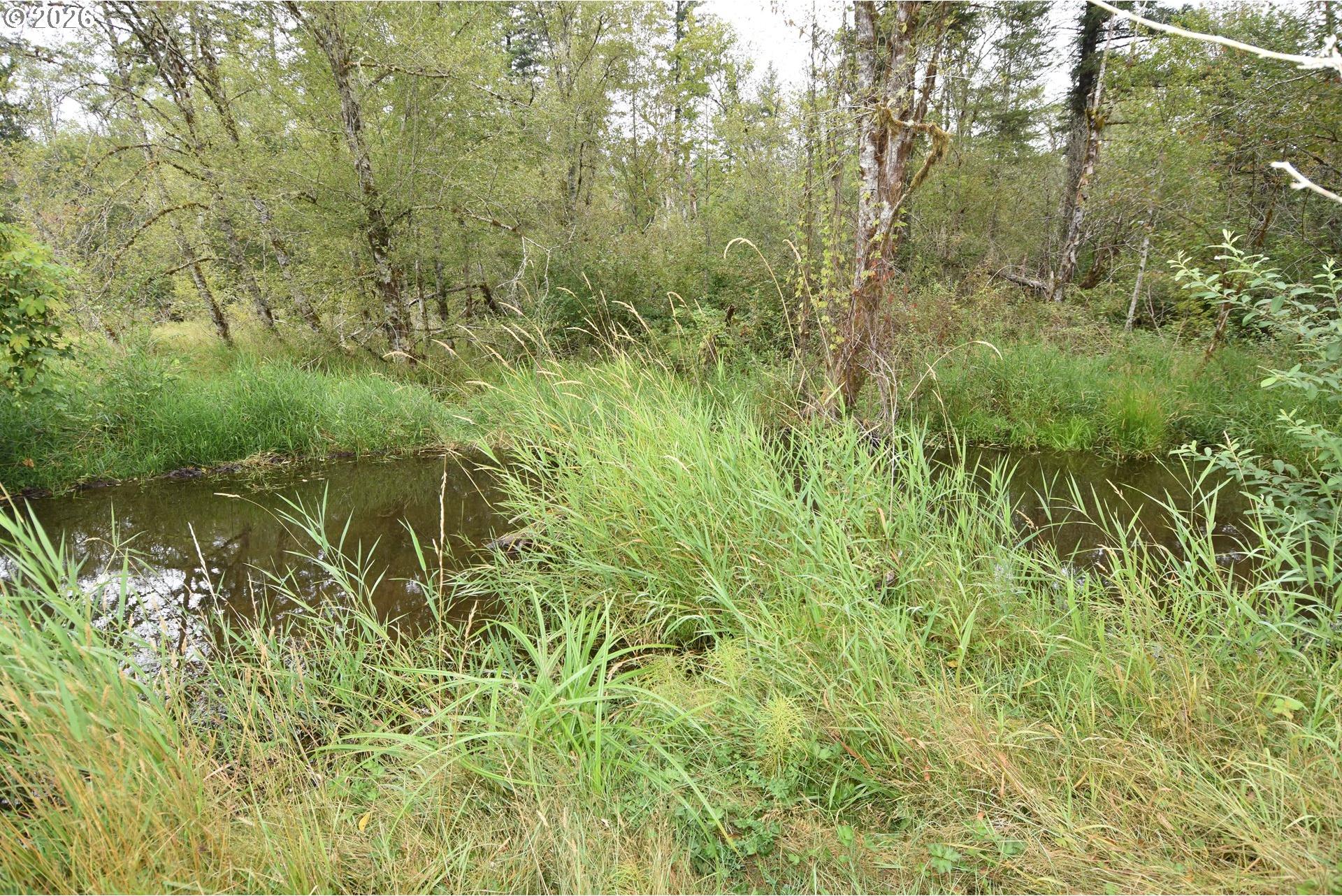 22515 Northeast Dole Valley Road Yacolt, WA 98675 - Photo 42 of 42 Gallery Image 42