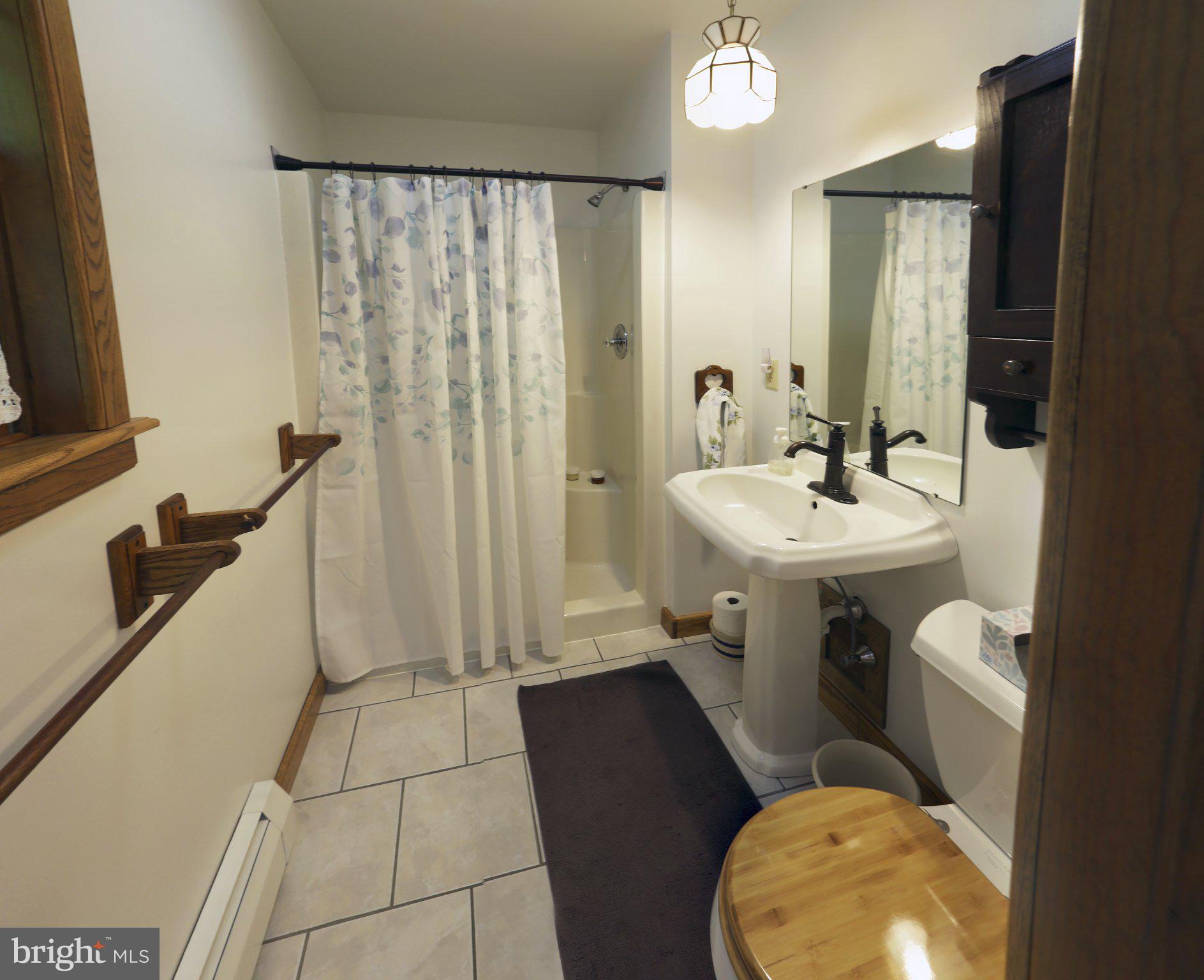 1580 Girl Scout Road Denver, PA 17517 - Photo 23 of 47 Main bathroom with walk-in shower