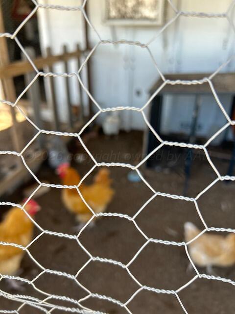 207 North Street Claude, TX 79019 - Photo 24 of 27 Chicken Coupe