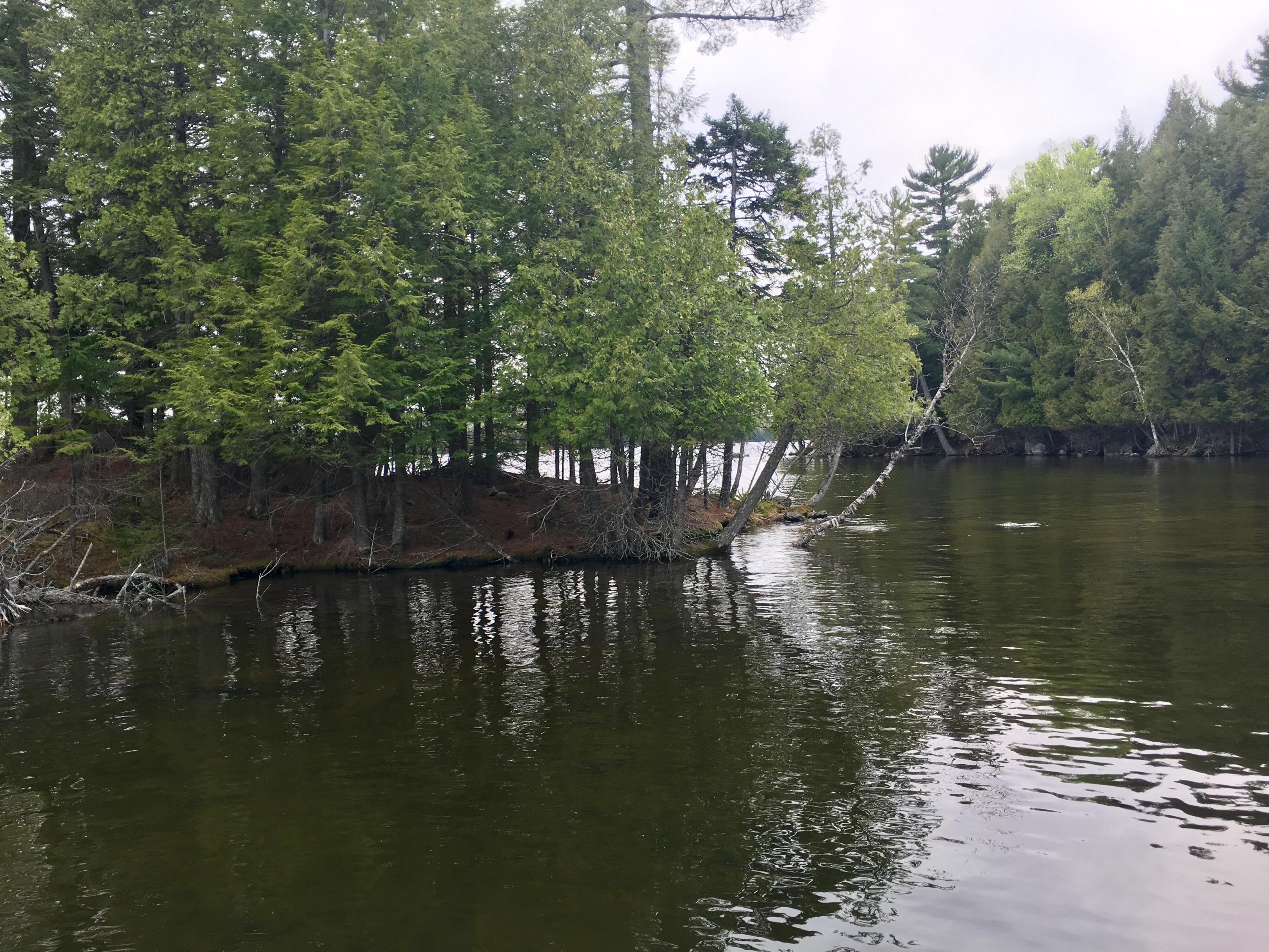 924 Black Point Road Beaver Cove, ME 04441 - Photo 17 of 55 F85C6913-AC98-48CA-8C67-2472B924CDFF