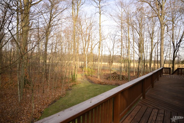 16527 Tonkel Road Leo, IN 46765 - Photo 7 of 30 Gallery Image 7
