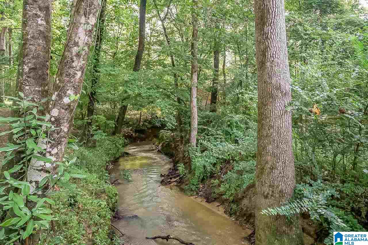 52 Hodgens Road Chelsea, AL 35043 - Photo 31 of 33