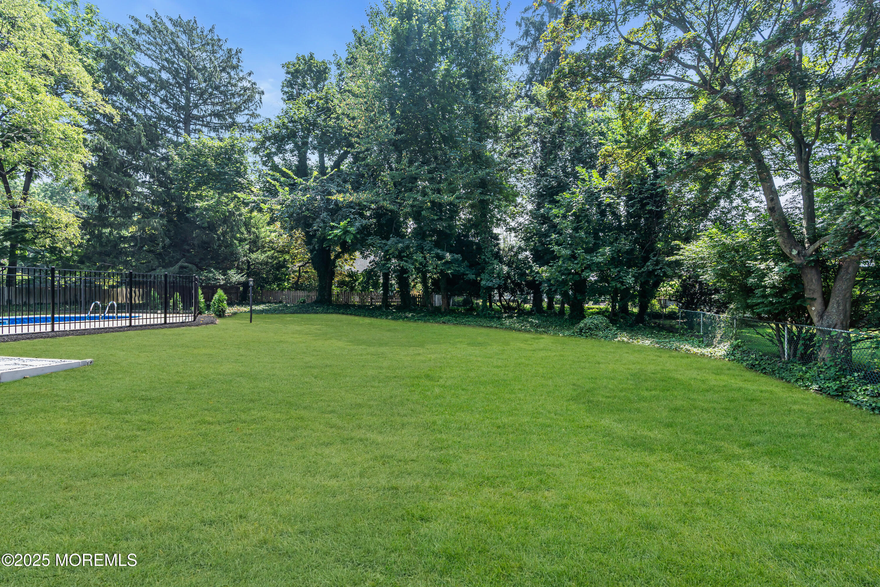 199 Pinckney Road Little Silver, NJ 07739 - Photo 48 of 51 Wooded Buffer in Rear Yard