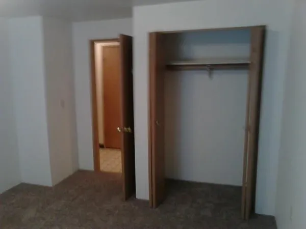 a view of an empty room with closet area
