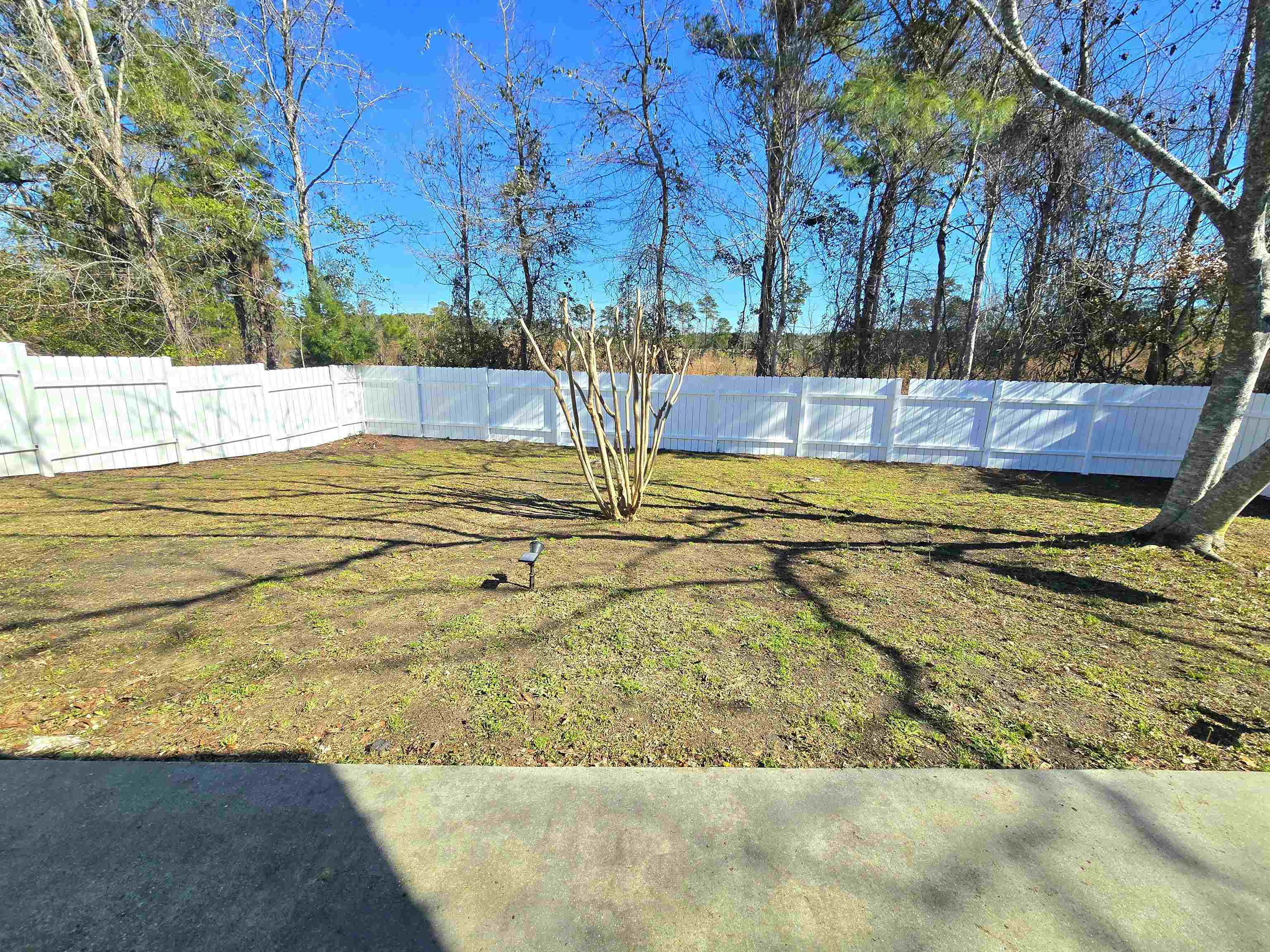 246 Seagrass Loop Myrtle Beach, SC 29588 - Photo 12 of 15