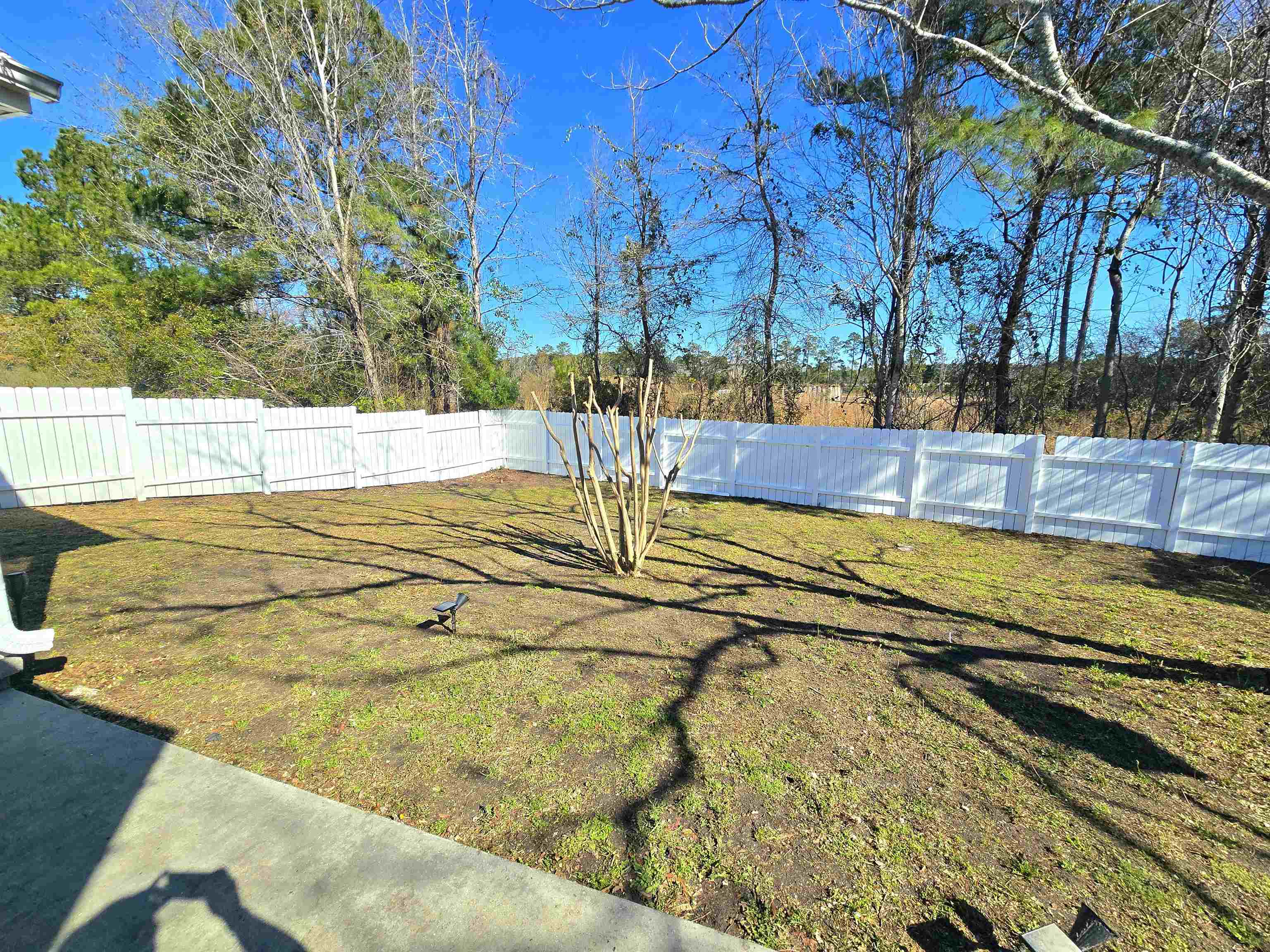 246 Seagrass Loop Myrtle Beach, SC 29588 - Photo 15 of 15