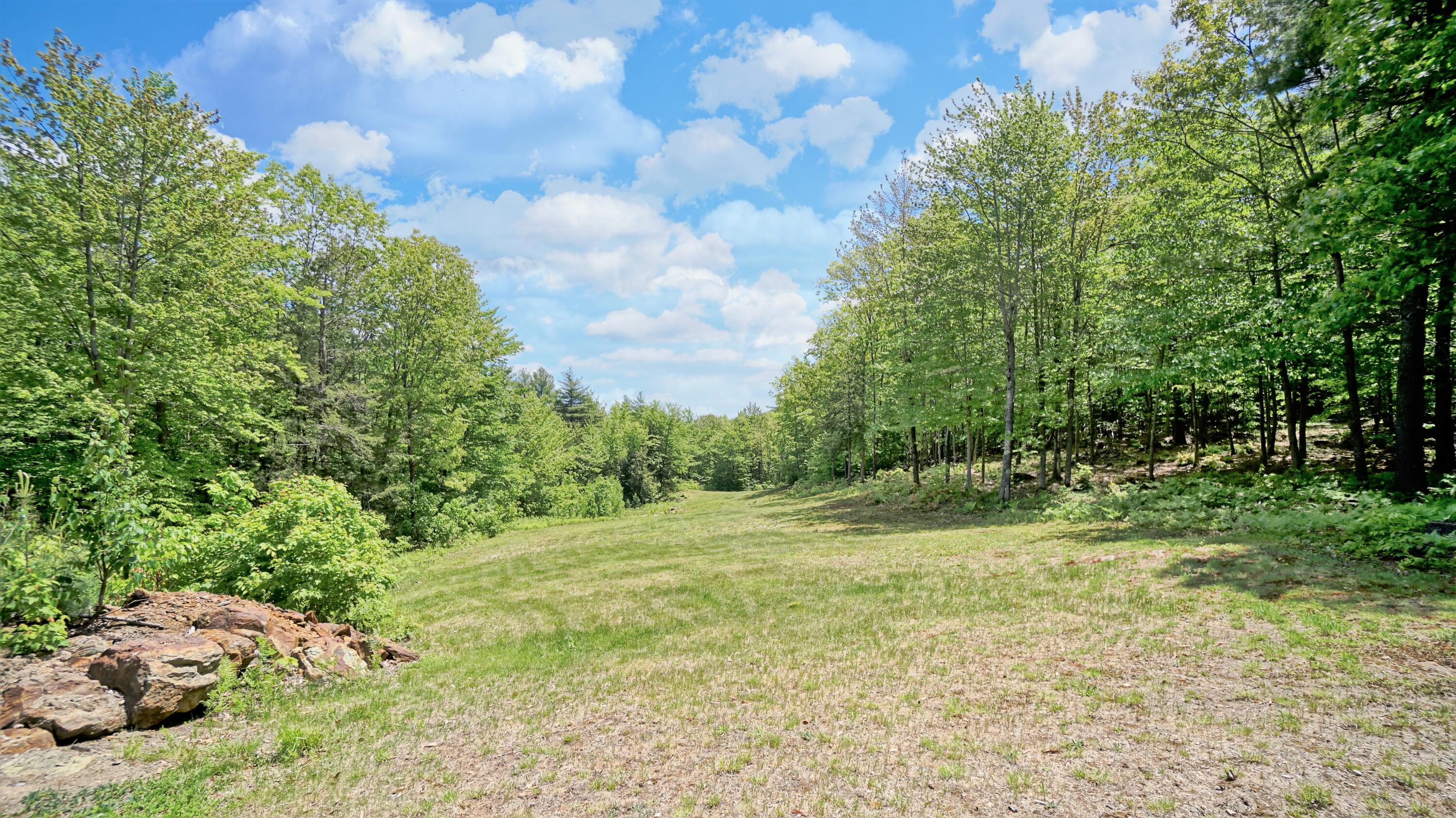 315 Pease Hill Road Cornish, ME 04020 - Photo 9 of 54 DSC09150
