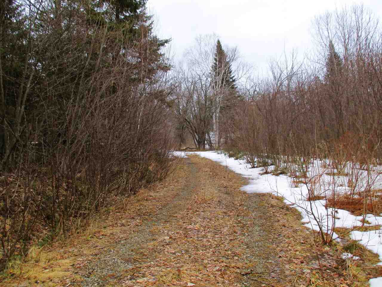 1915 Toad Pond Road Morgan, VT 05853 - Photo 2 of 21