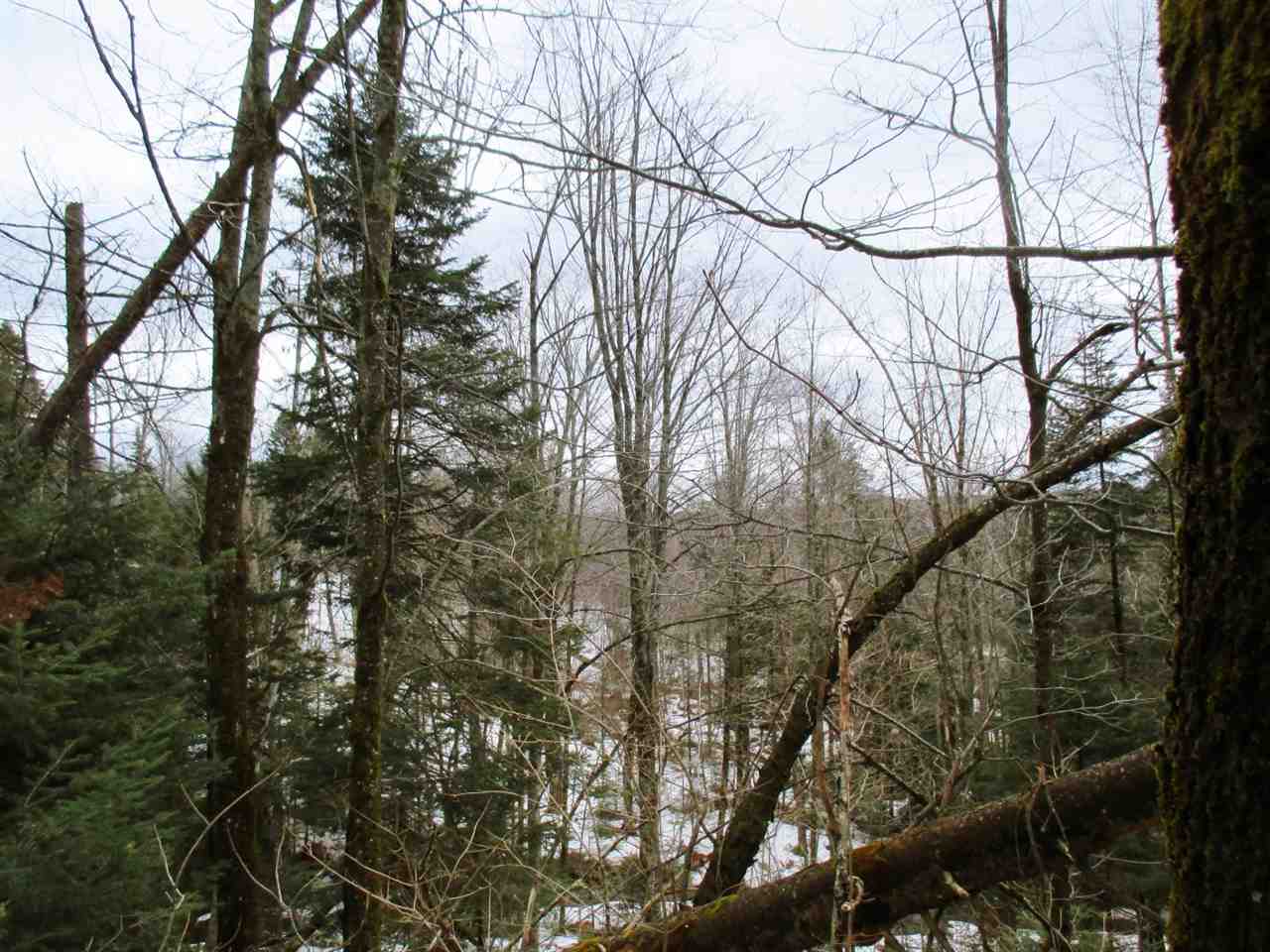 1915 Toad Pond Road Morgan, VT 05853 - Photo 16 of 21
