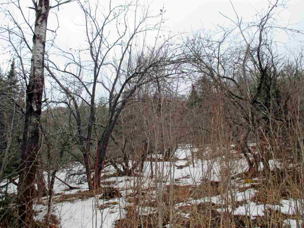 1915 Toad Pond Road Morgan, VT 05853 - Photo 17 of 21