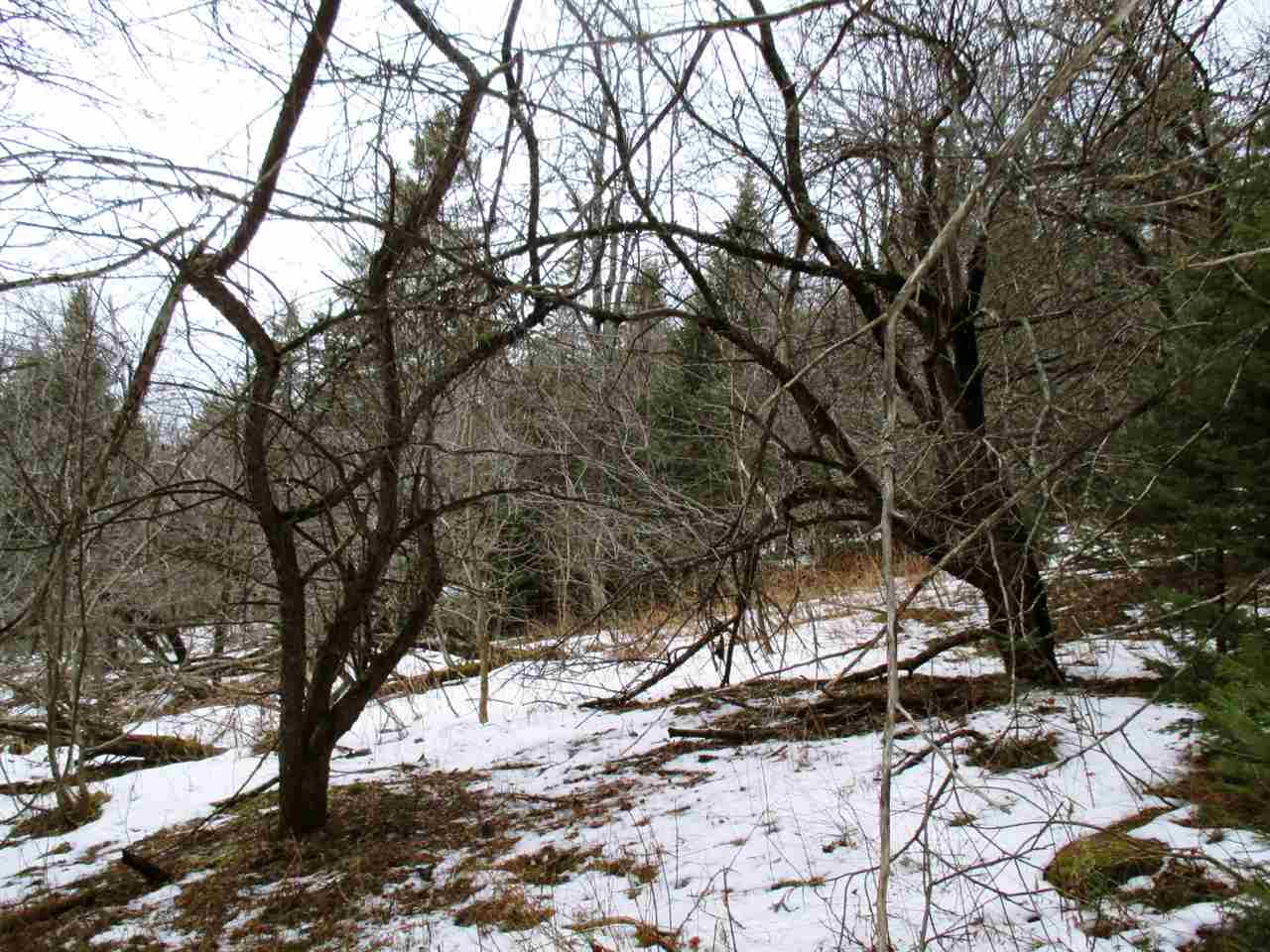 1915 Toad Pond Road Morgan, VT 05853 - Photo 20 of 21