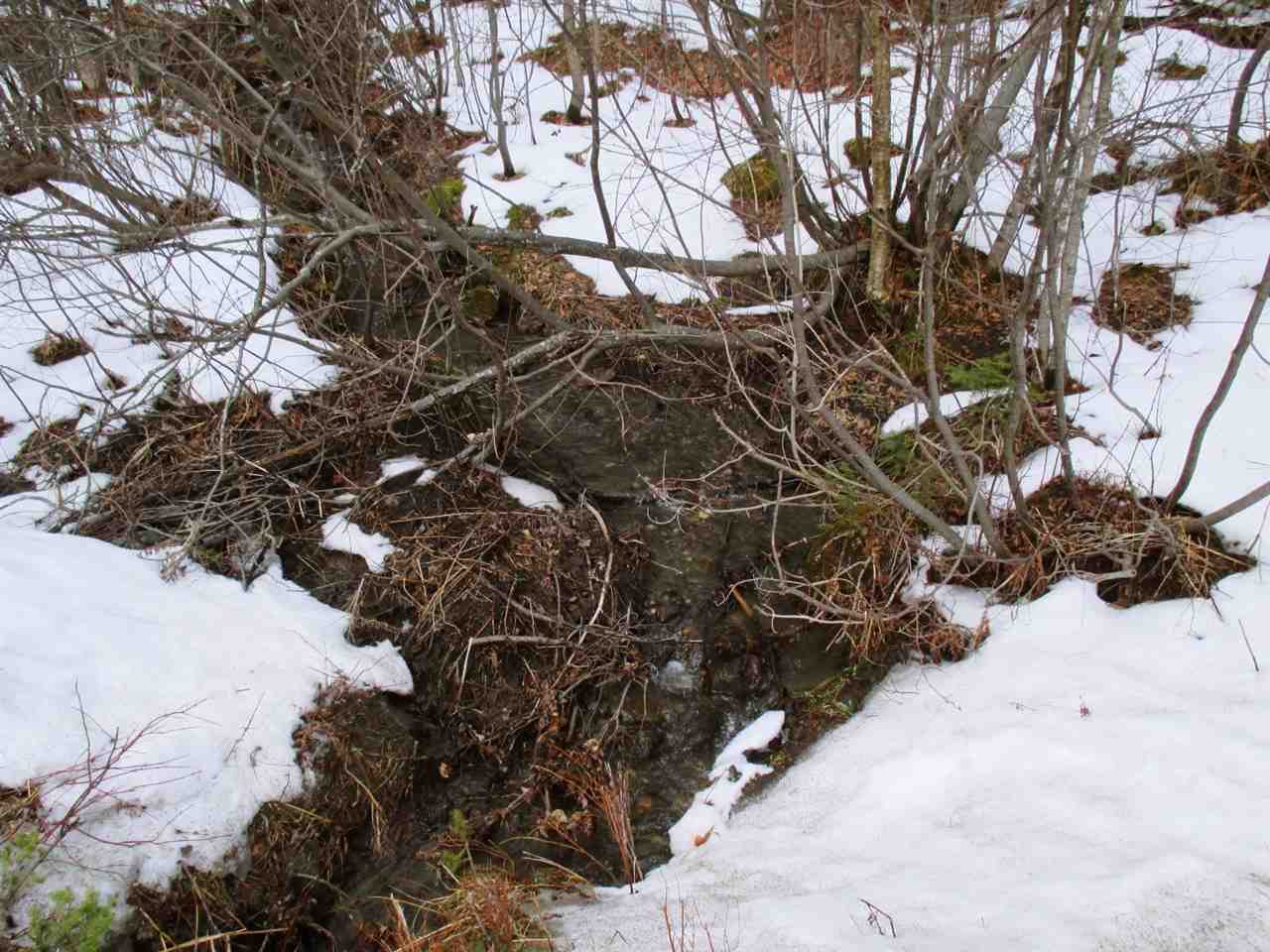1915 Toad Pond Road Morgan, VT 05853 - Photo 21 of 21