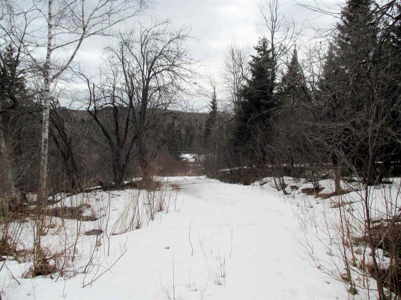 1915 Toad Pond Road Morgan, VT 05853 - Photo 6 of 21