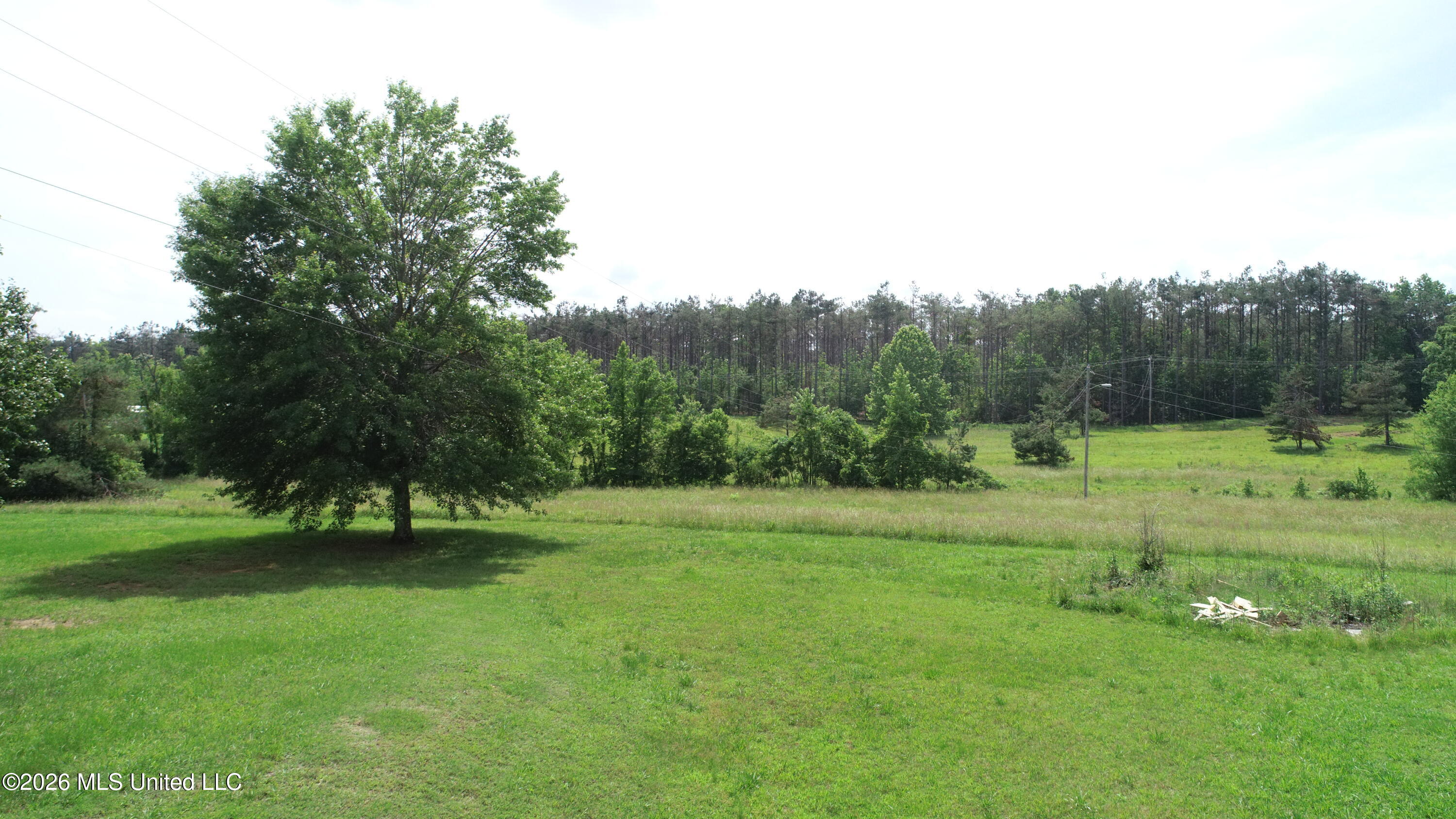 102 Peacock Holler Ripley, MS 38663 - Photo 33 of 34 DJI_0957