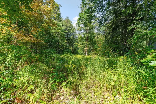 $52,000 | 1127 Meadowdale Road, Altamont, NY 12009