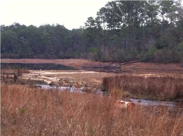 Lot 11 Fawn Lake Road Crestview, FL 32539 - Photo 4 of 6 Gallery Image 4