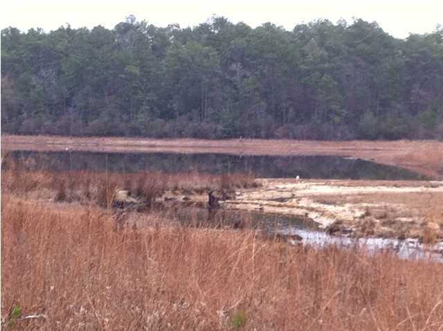 Lot 11 Fawn Lake Road Crestview, FL 32539 - Photo 5 of 6 Gallery Image 5