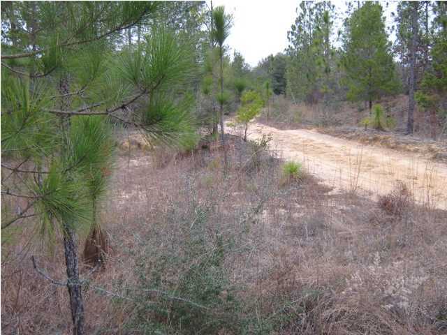 Lot 11 Fawn Lake Road Crestview, FL 32539 - Photo 6 of 6 Gallery Image 6