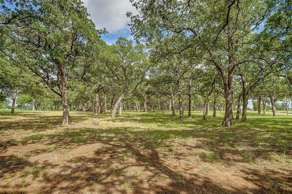 3019 Orchard Road Bowie, TX 76230 - Photo 37 of 40 a big yard with trees