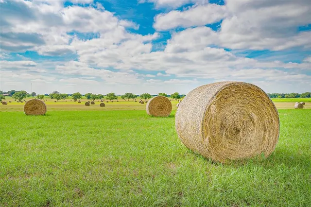 $3,190,000 | 3019 Orchard Road, Bowie, TX 76230