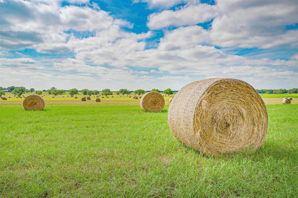 3019 Orchard Road Bowie, TX 76230 - Photo 39 of 40 a view of a swimming pool with a garden and stairs