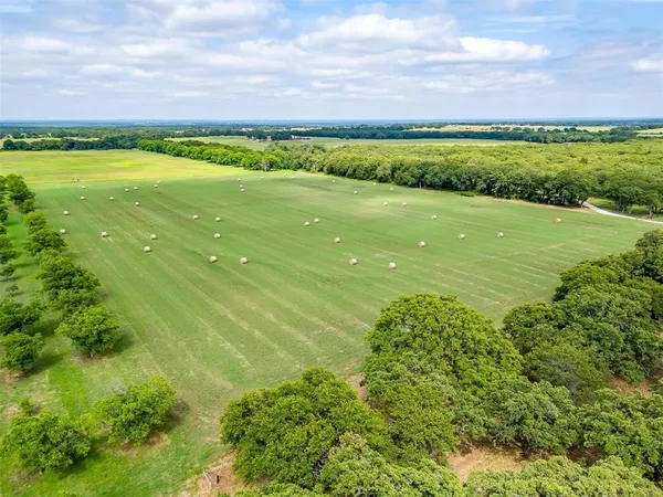 a view of a lush green field