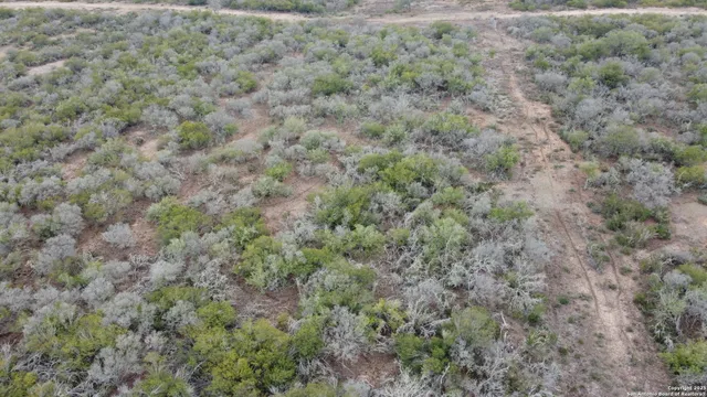 a view of a field with trees in background