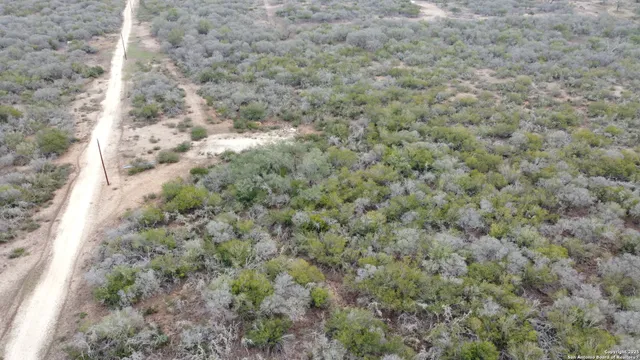 a view of a dry yard
