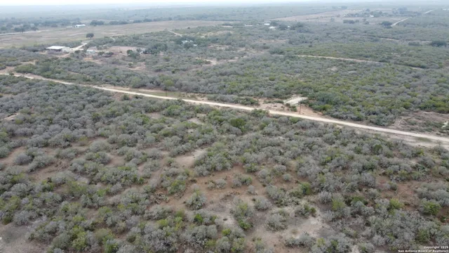 a view of a dry yard