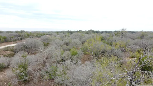 a view of a dry space with lots of trees