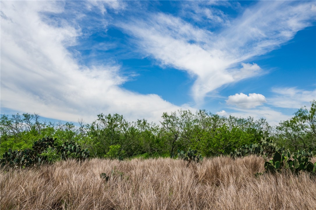 0 Fm 3249 Realitos, TX 78376 - Photo 4 of 12