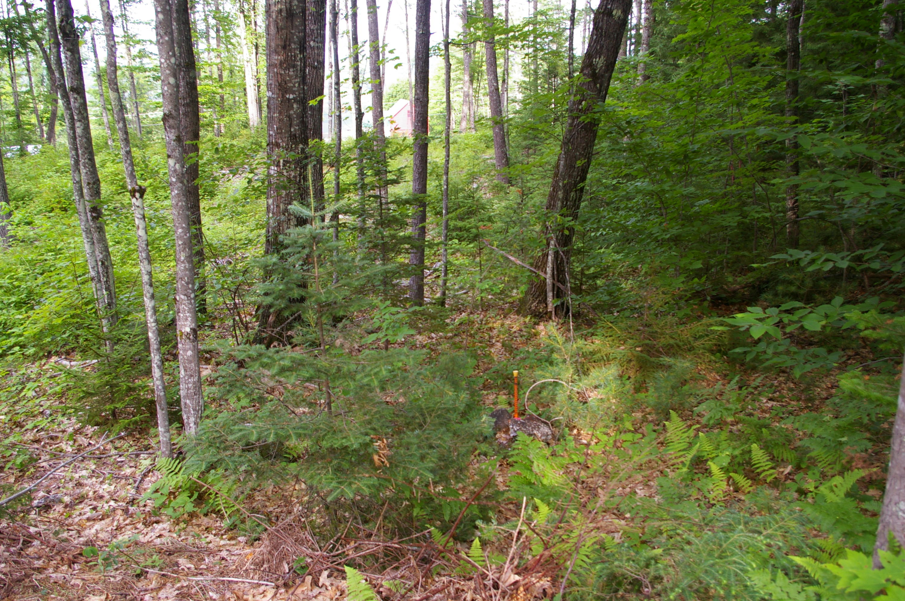 Lot#1 Fernald Hills Way Road Stow, ME 04037 - Photo 1 of 12 Lot#1