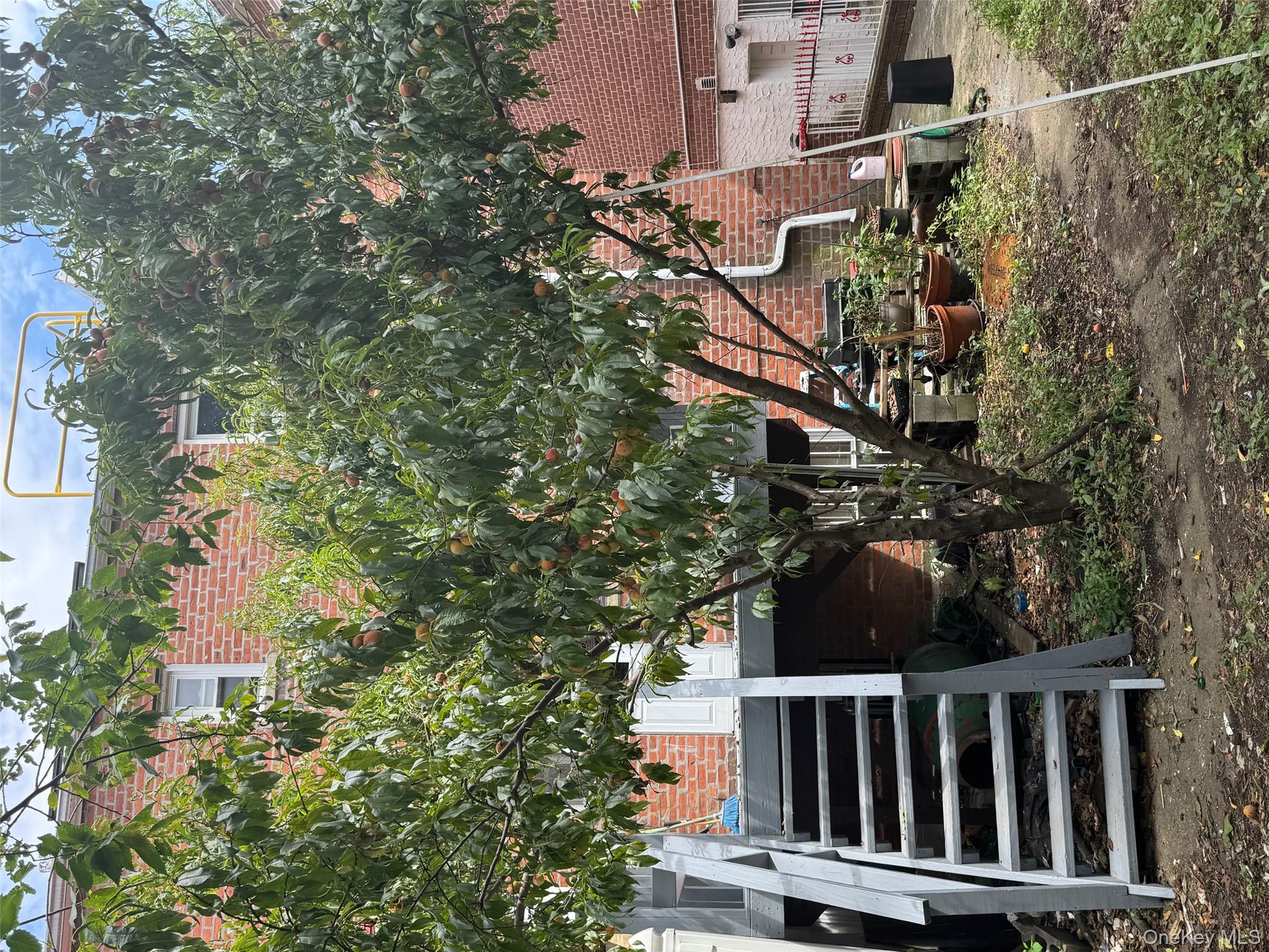 2339 Barnes Avenue Bronx, NY 10467 - Photo 4 of 16 a view of a house with a yard