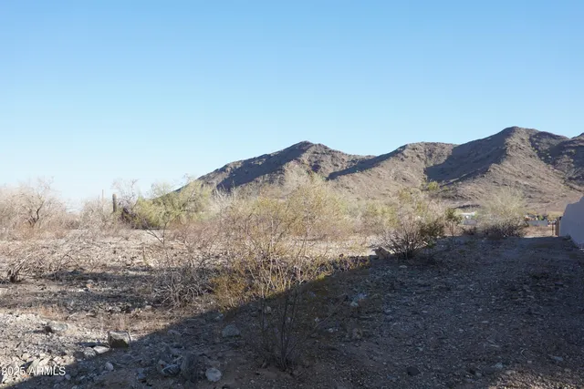 a view of a dry yard