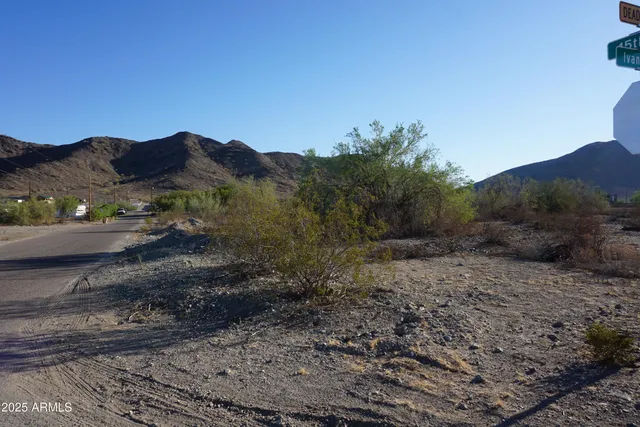 a view of a dry yard with mountains in the background