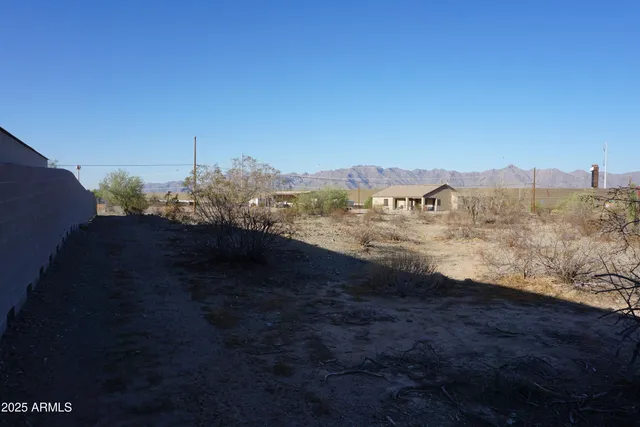 a view of a dry yard with trees
