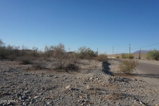 a view of a dry field with trees in background