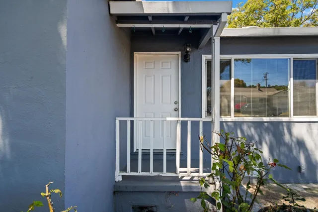 a view of a balcony with a potted plant