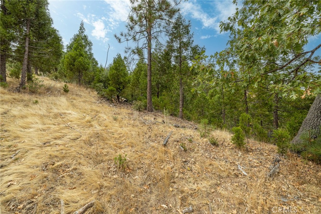 26 Timberview Road North Fork, CA 93643 - Photo 55 of 60