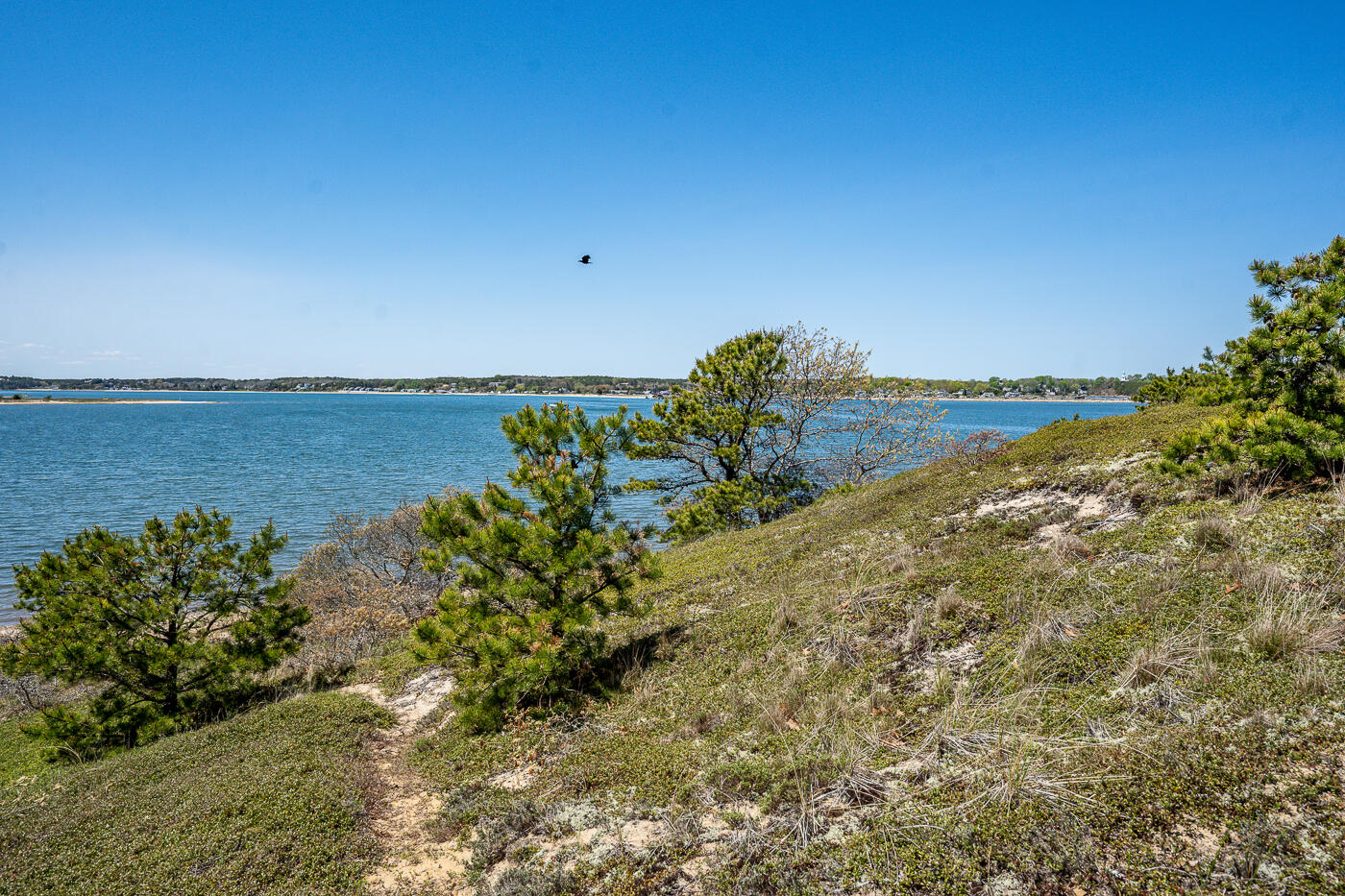 65 Belding Way Wellfleet, MA 02667 - Photo 11 of 12 a view of a lake