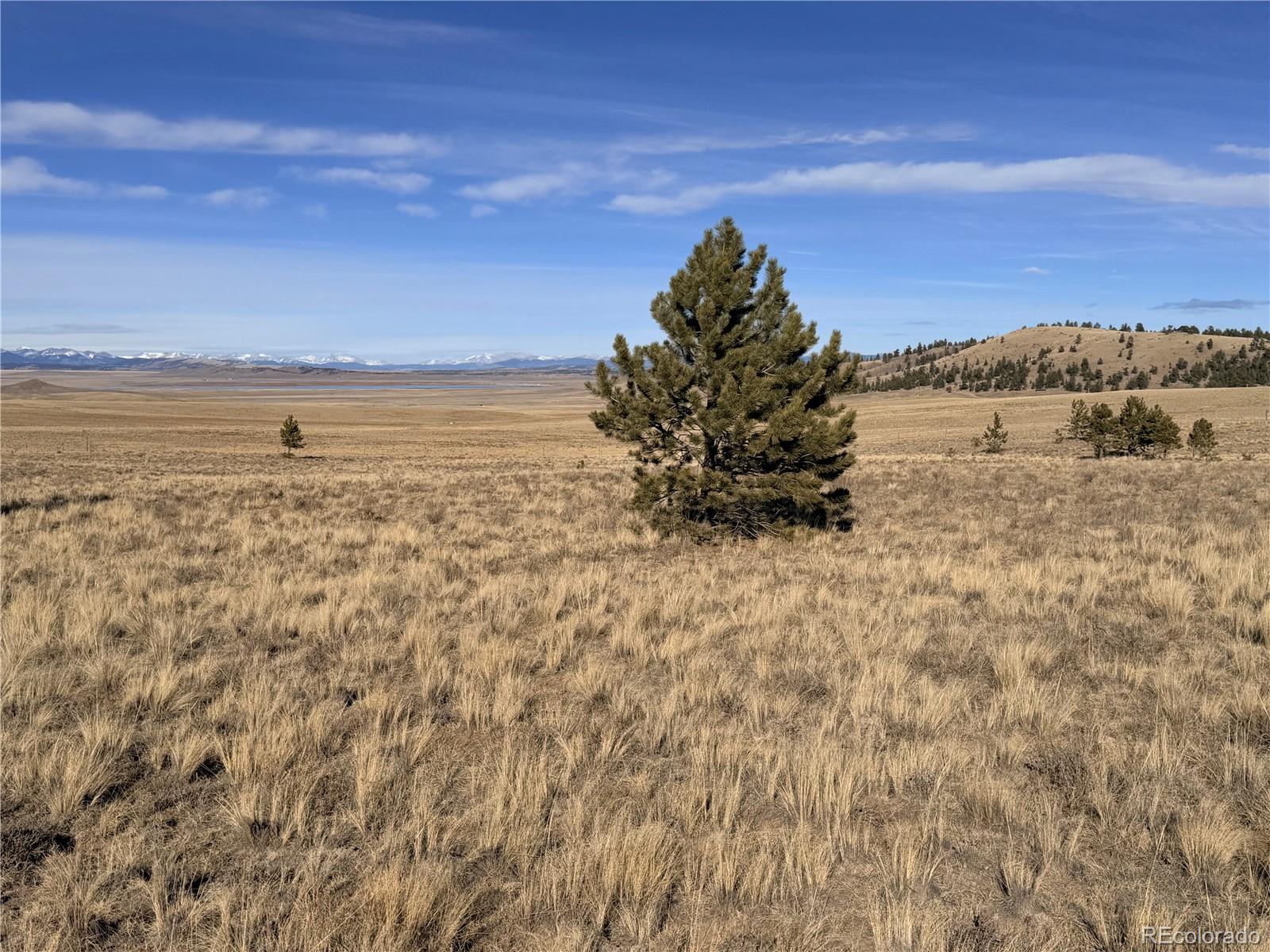 311 Harness Way Hartsel, CO 80449 - Photo 5 of 15 a view of beach and ocean