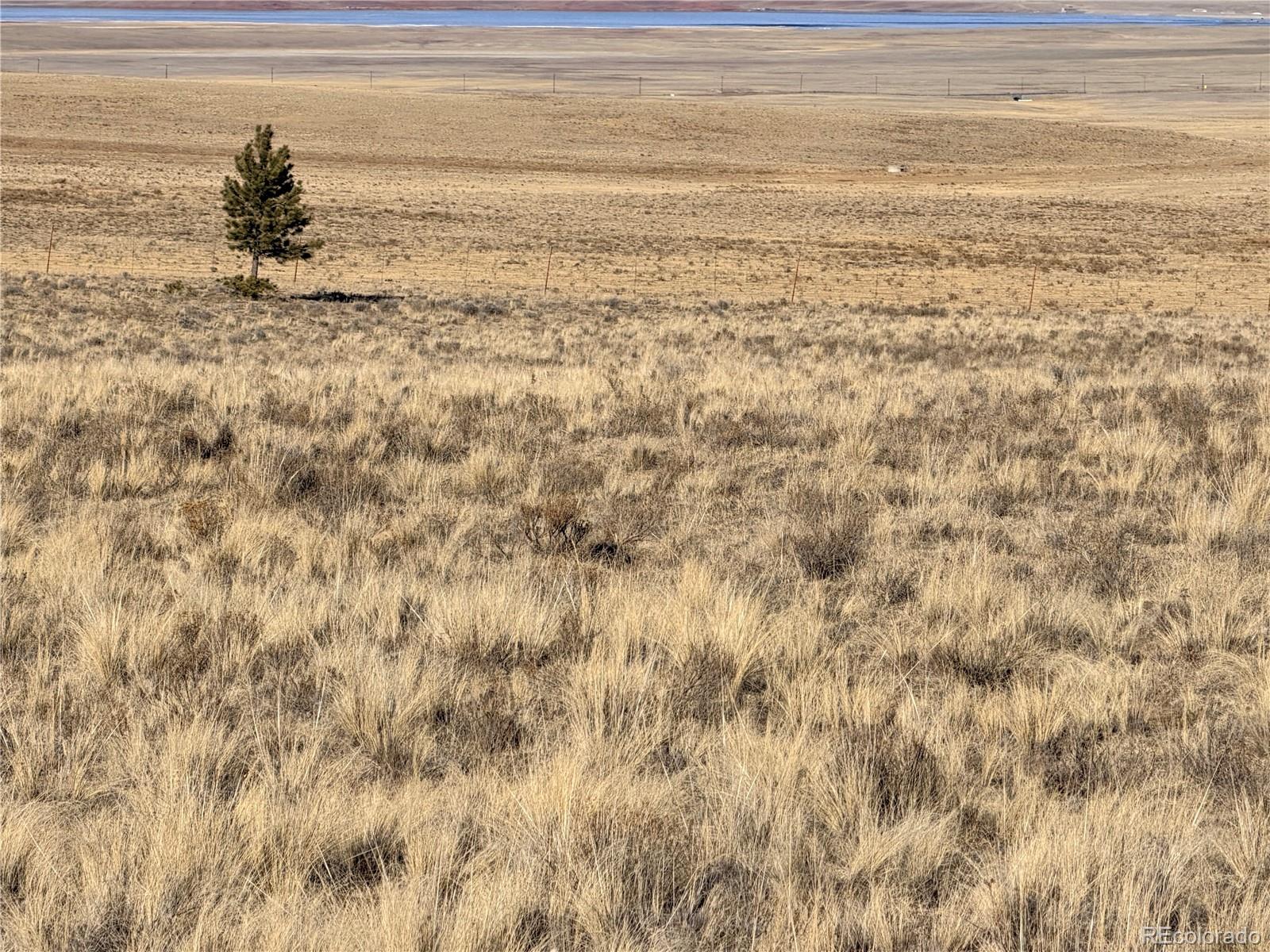 311 Harness Way Hartsel, CO 80449 - Photo 8 of 15 a view of beach and ocean