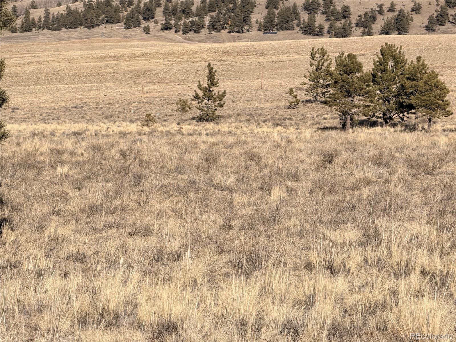 311 Harness Way Hartsel, CO 80449 - Photo 9 of 15 a view of an ocean beach