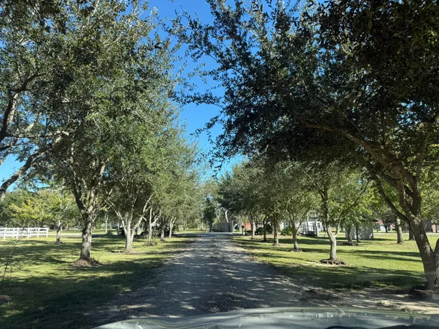 a big yard with trees