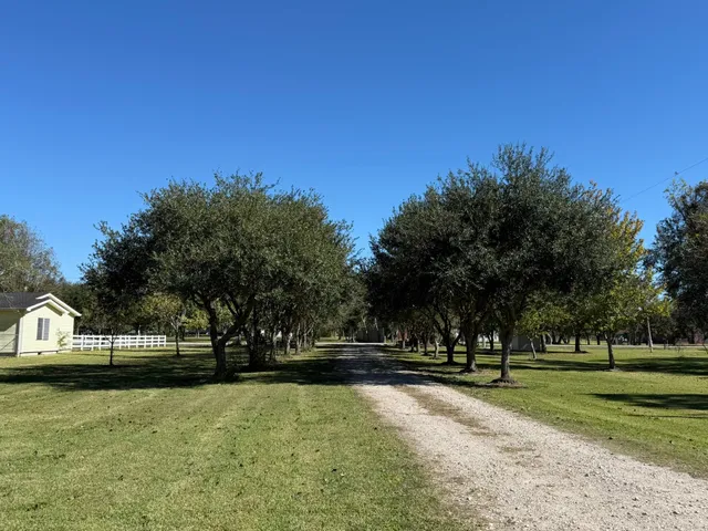 a view of park with tree