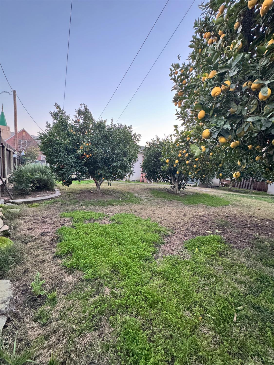 333 Cherry Street Lodi, CA 95240 - Photo 22 of 24