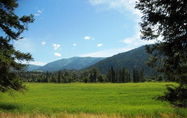 560 A Williams Lake Road Colville, WA 99114 - Photo 1 of 16 Gallery Image 1