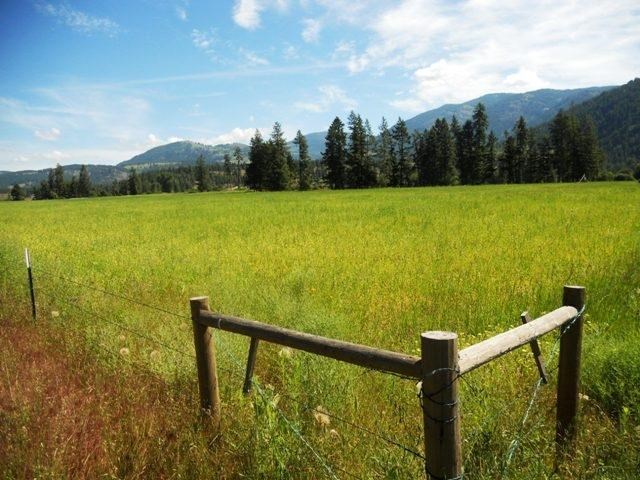 560 A Williams Lake Road Colville, WA 99114 - Photo 2 of 16 Gallery Image 2